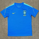 26-27 Brazil Blue Training shirts
