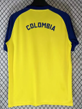 26-27 Colombia Yellow Training shirts