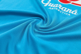 26-27 Brazil Lake blue Training Short Suit