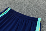 26-27 Brazil Lake blue Training Short Suit