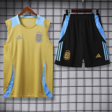 25-26 Argentina Black Gold Special Edition Training shirts