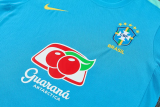 26-27 Brazil Lake blue Training Short Suit