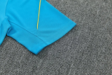 26-27 Brazil Lake blue Training Short Suit