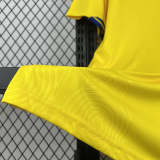 26-27 Sweden Home Fans Soccer Jersey