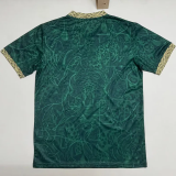 26-27 Brazil Green Special Edition Fans Soccer Jersey (小鹦鹉标 )