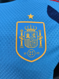 26-27 Spain Lake Blue Player Version Training shirts