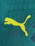 26-27 Senegal Away Player Version Soccer Jersey