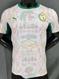 26-27 Senegal Home Player Version Soccer Jersey