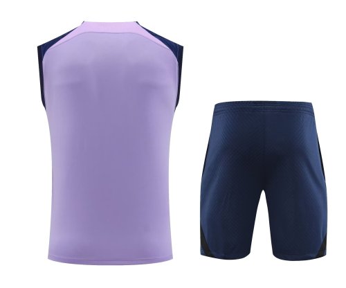 23-24 Tottenham Hotspur High Quality Tank Top And Shorts Suit