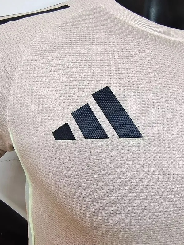 25-26 Algeria Khaki Player Version Training shirts