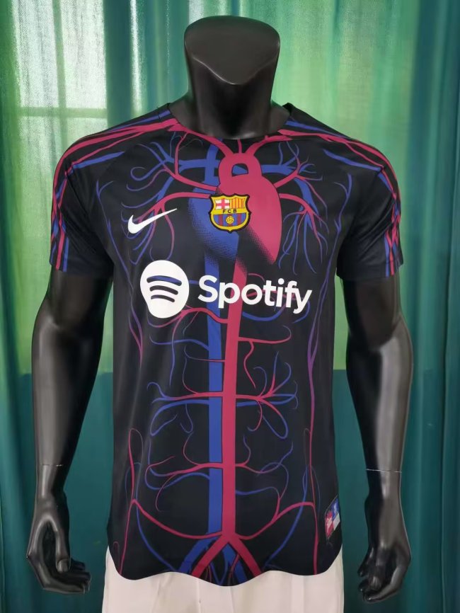 23-24 Barcelona Special Edition Fans Soccer Jersey