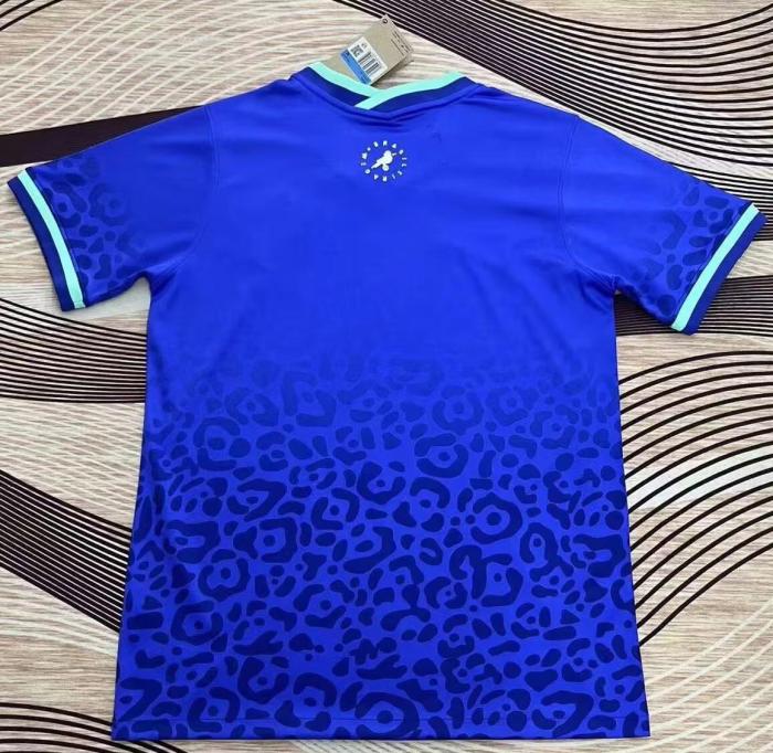 22-23 Brazil Blue Training Shirts