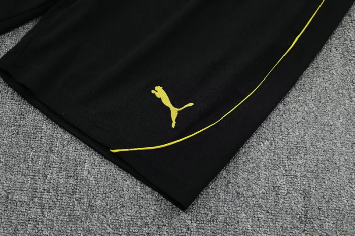 25-26 Dortmund High Quality Training Short Suit