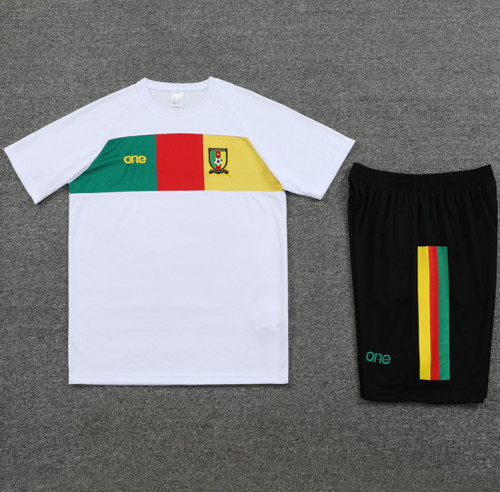 23-24 Cameroon High Quality Training Short Suit