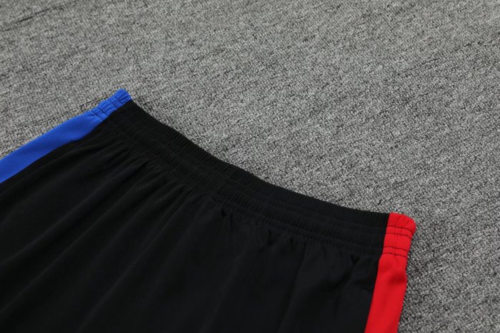 23-24 Paris Saint-Germain High Quality Training Short Suit