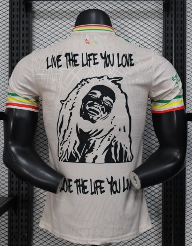 25-26 Ajax Grey Special Edition Player Version Soccer Jersey