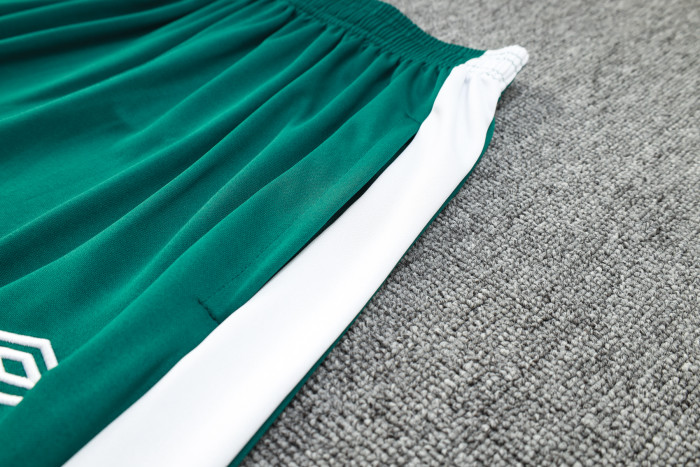 23-24 Fluminense High Quality Half Pull Tracksuit