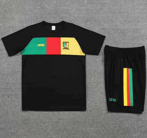 23-24 Cameroon High Quality Training Short Suit