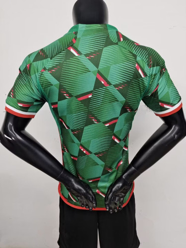 23-24 Algeria Special Edition Player Version Soccer Jersey