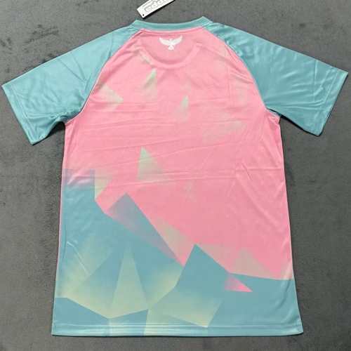 25-26 Tunisia Blue Pink Special Edition Training shirts 突尼斯