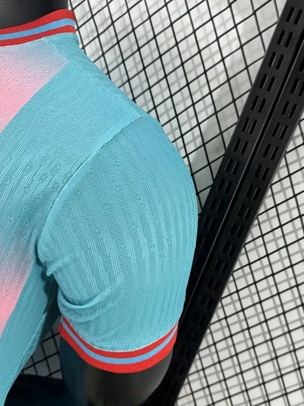 25-26 Barcelona Blue Special Edition Player Version Training Shirts (红标)