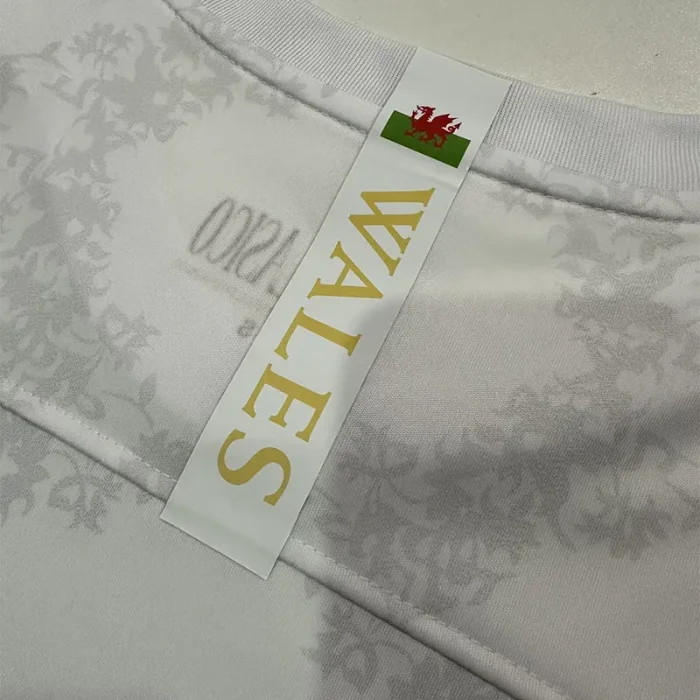 25-26 Real Madrid Comma Special Edition Fans Training Shirts (背后WALES)