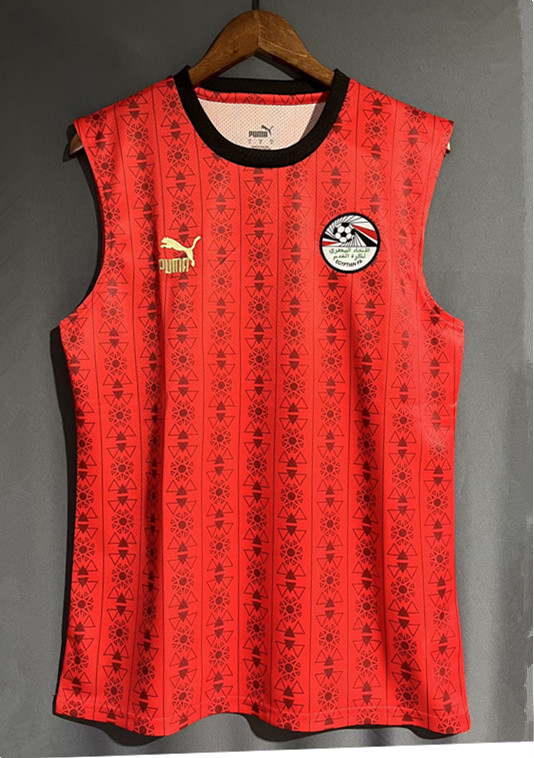 23-24 Egypt Home Fans Soccer Jersey