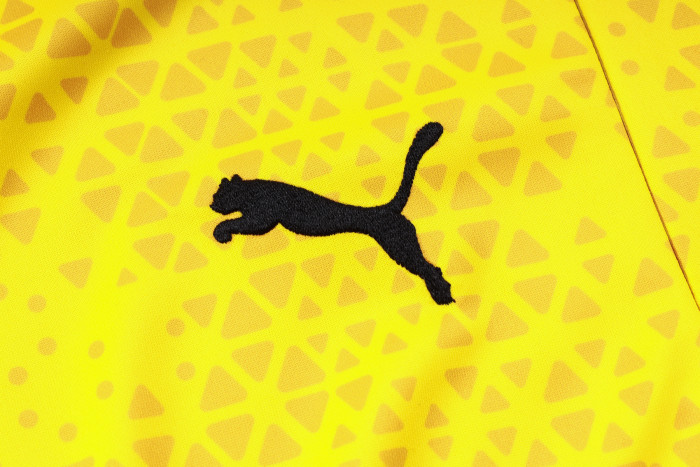 23-24 Dortmund High Quality Half Pull Tracksuit