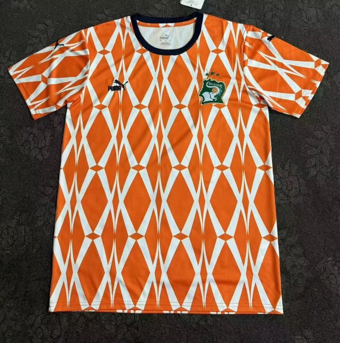 23-24 Cote d'Ivoire Special Edition Fans Version Soccer Jersey