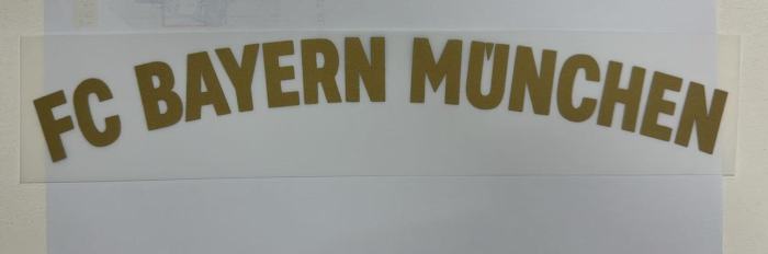 25-26 Bayern 125th Anniversary Fans Soccer Jersey