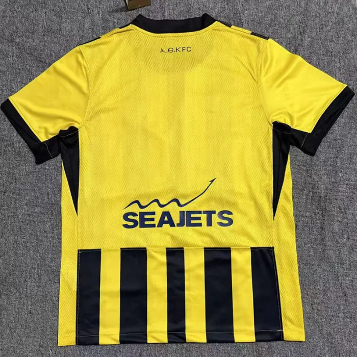 25-26 AEK Athens Home Fans Soccer Jersey 1:1 Thai Quality