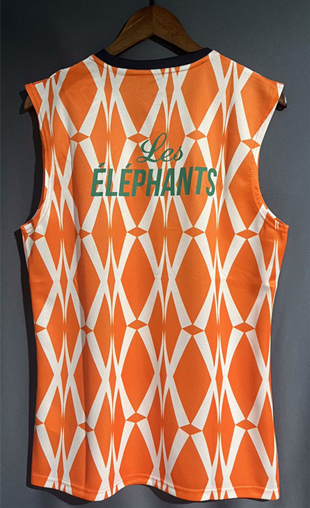 2023 Cote d'Ivoire Yellow Fans Soccer Jersey