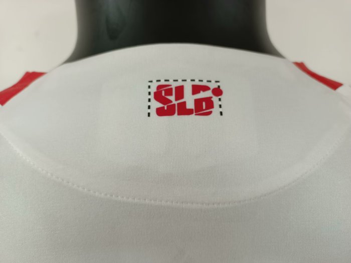 25-26 Benfica Third Player Version Soccer Jersey