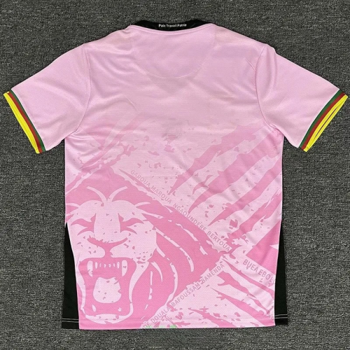 25-26 Cameroon Pink Fans Soccer Jersey