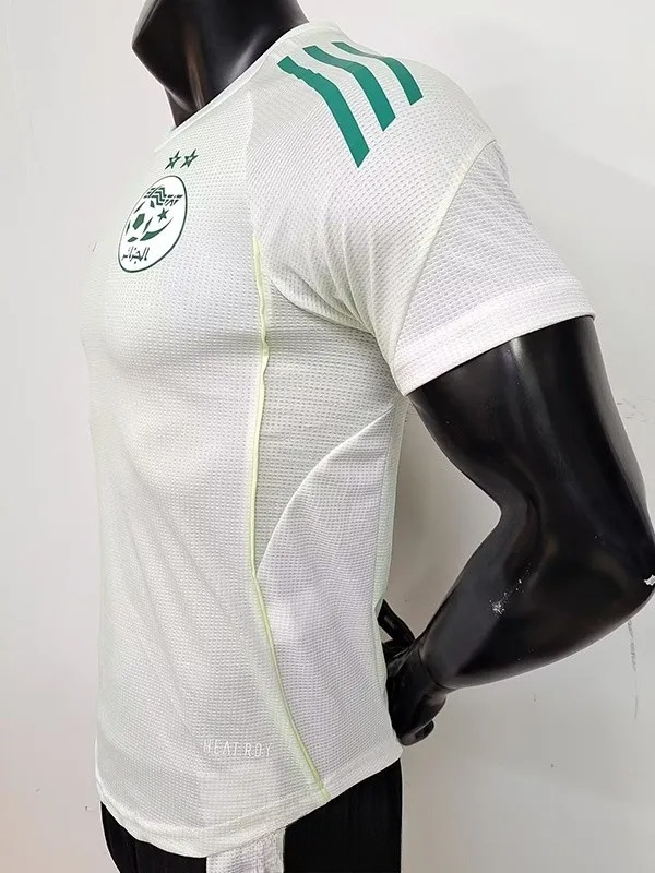 25-26 Algeria Light Green Player Version Training shirts
