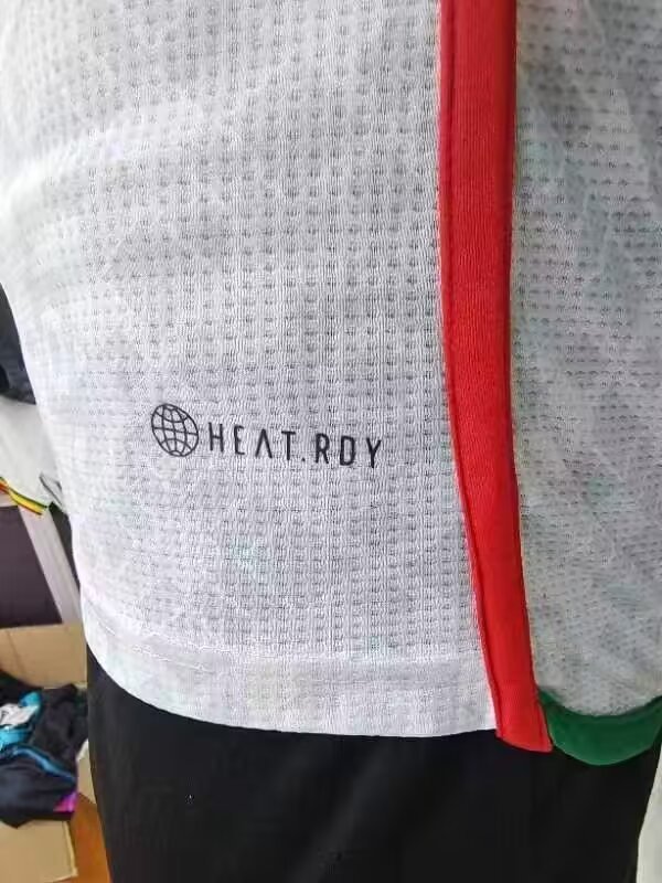 23-24 Algeria Special Edition Player Version Soccer Jersey