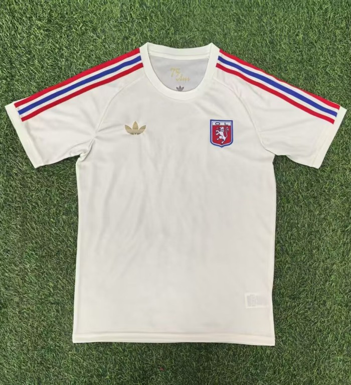 25-26 Lyon White Fans Training shirts
