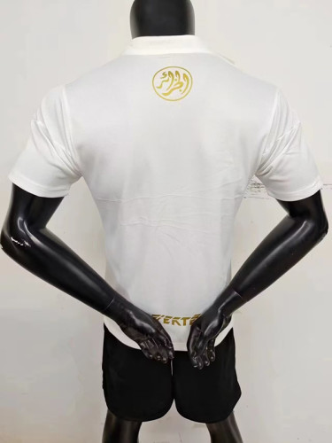 23-24 Algeria Special Edition Player Version Soccer Jersey