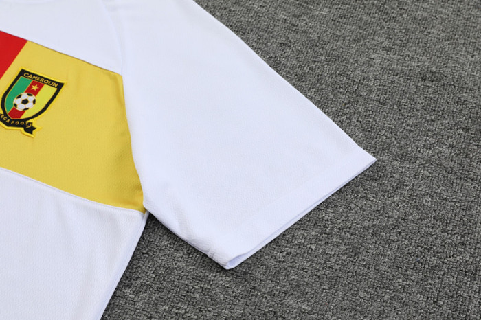 23-24 Cameroon High Quality Training Short Suit