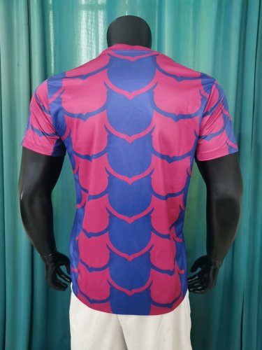 23-24 Barcelona Special Edition Training shirts