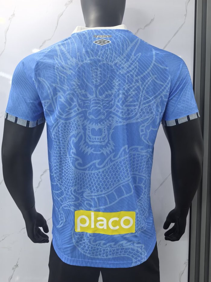 25-26 Santos FC Blue Special Edition Player Version Training Shirts