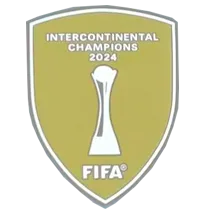 25-26 Real Madrid Silver Grey Special Edition Player Version Training Shirts (球员) 1:1 Thai Quality