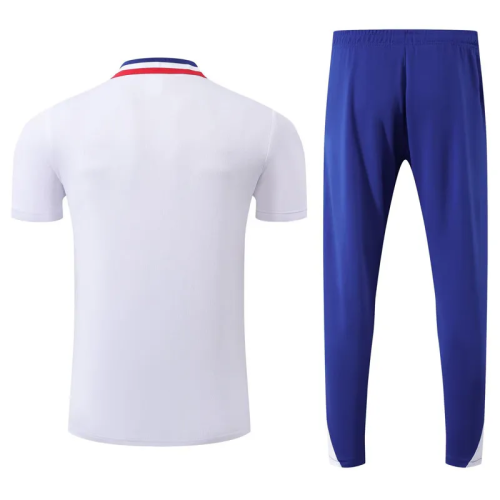 25-26 France High Quality Polo Tracksuit