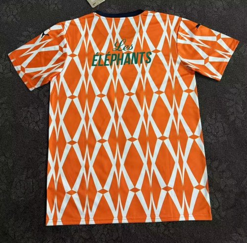 23-24 Cote d'Ivoire Special Edition Fans Version Soccer Jersey