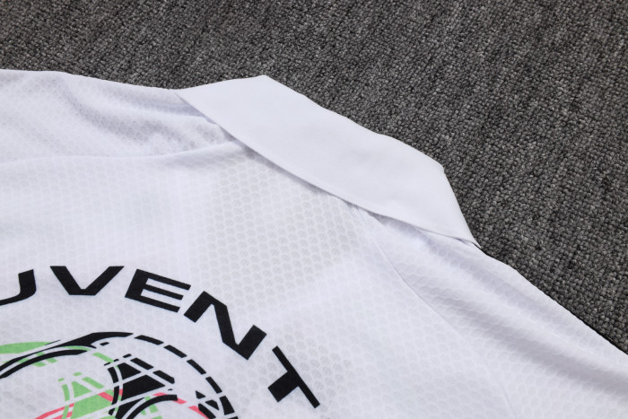 25-26 Juventus High Quality Polo Tracksuit