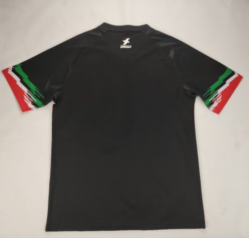 2024 Palestine Fans Version Soccer Jersey