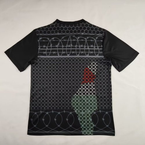 2024 Palestine Fans Version Soccer Jersey