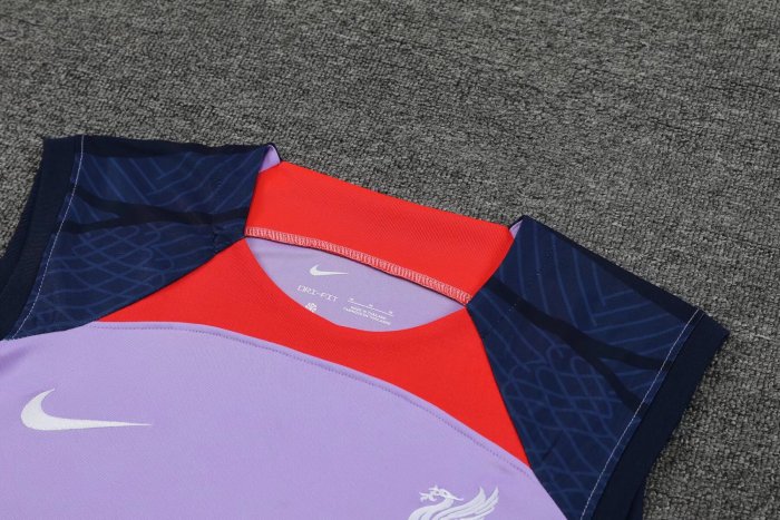 23-24 Liverpool High quality Tank Top And Shorts Suit