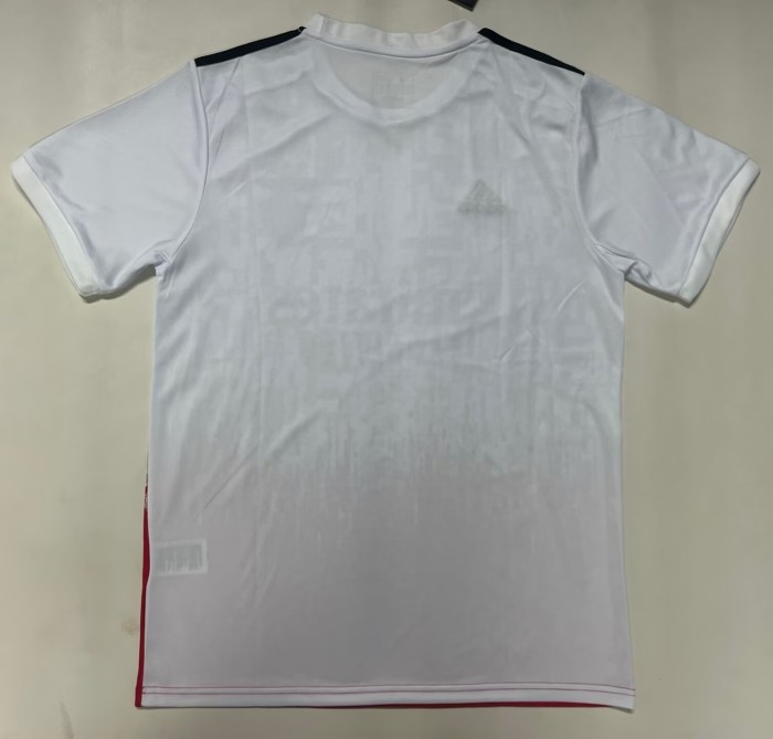 25-26 Benfica Special Edition Fans Soccer Jersey 1:1 Thai Quality