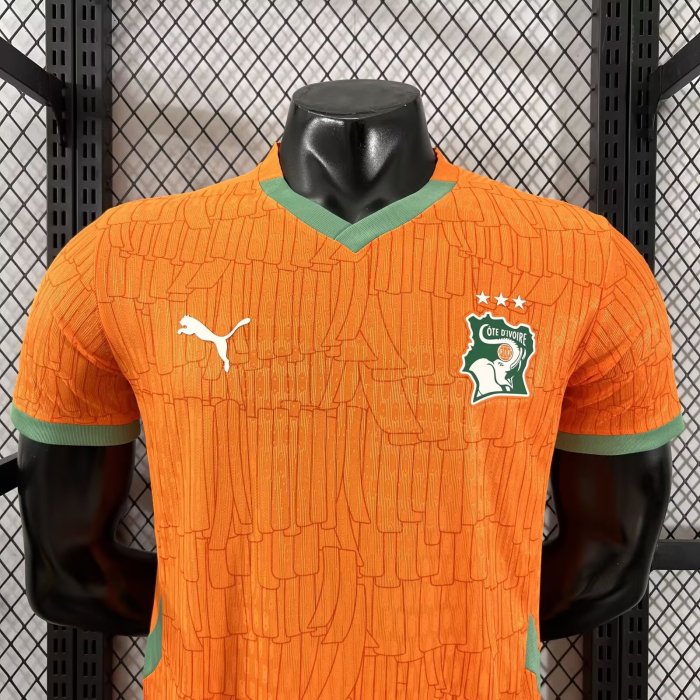 25-26 Cote d'Ivoire Home Player Version Soccer Jersey